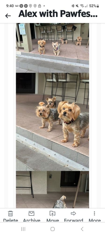 Pawfessional Sitters of Miami