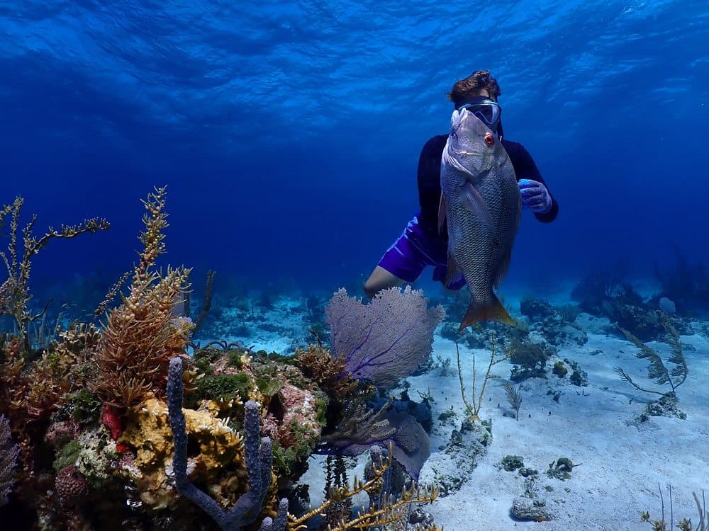 Savage Diving