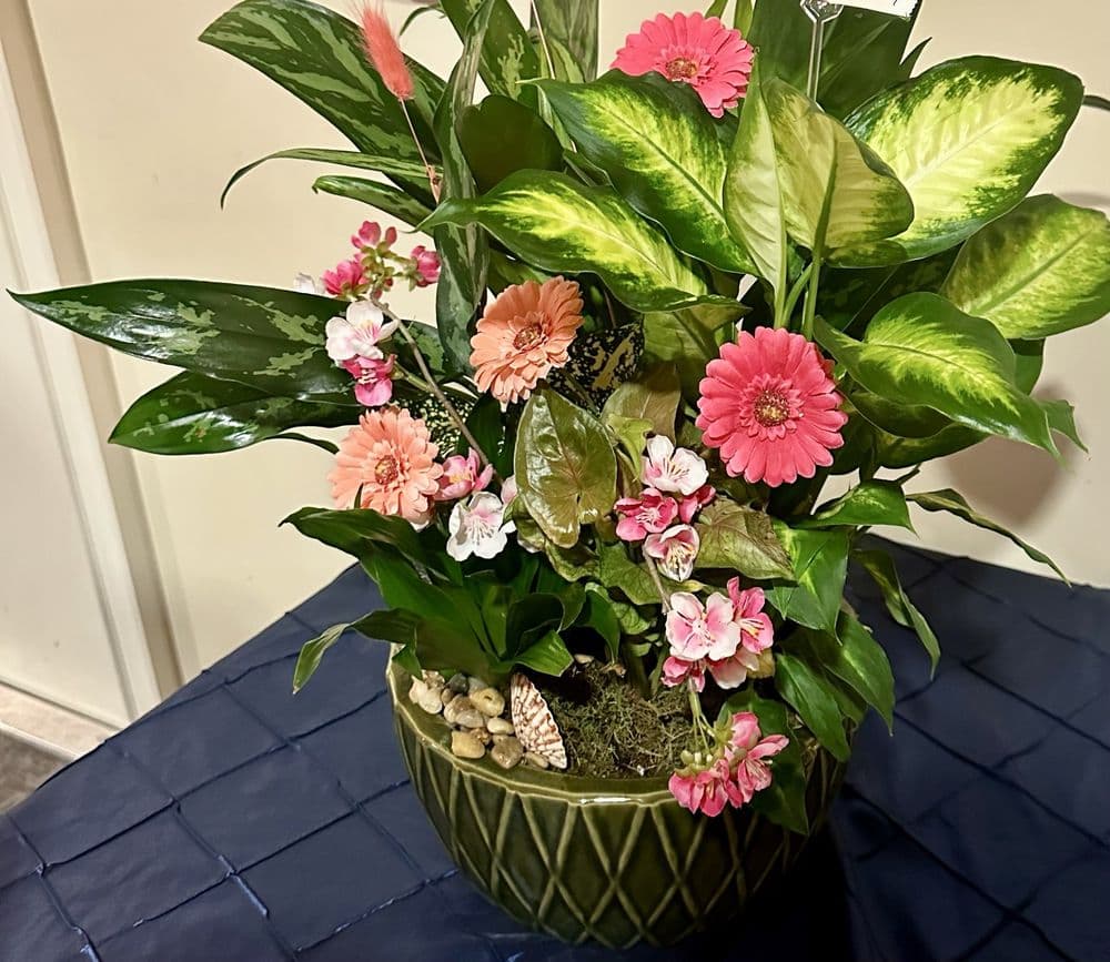 Bashful Daisy Florist
