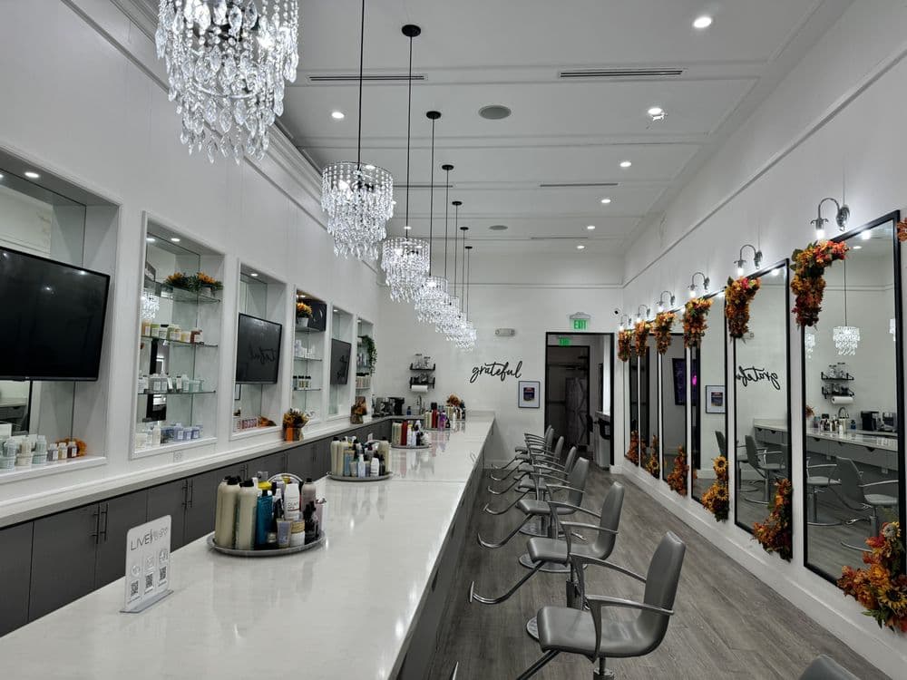 Live Blow Dry