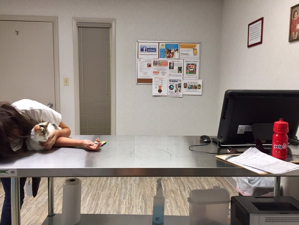 Saint Francis Animal Hospital
