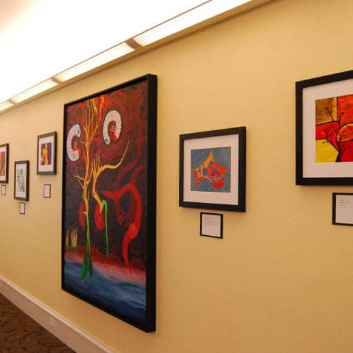 Appleton Awareness Gallery