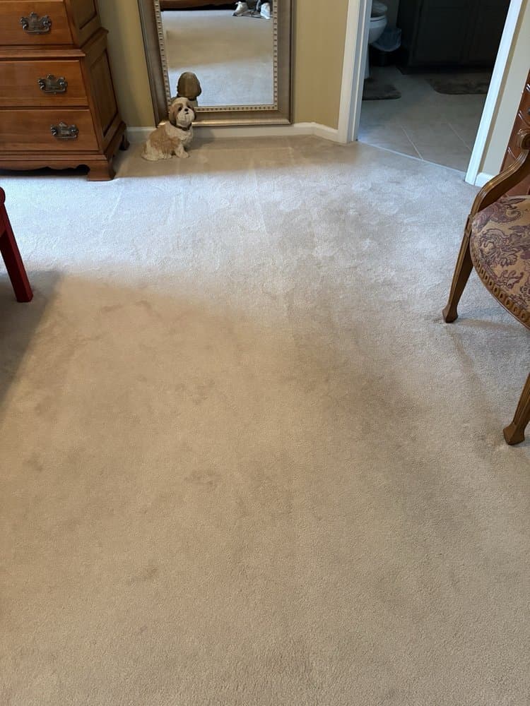 Carpets by Jonah