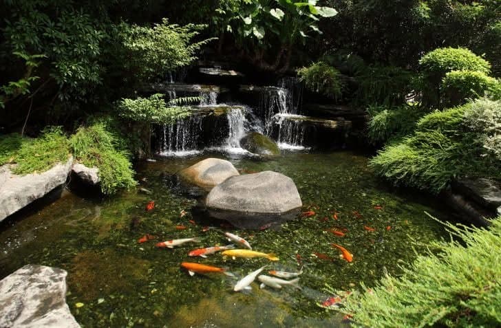Firefly Landscape Contractors
