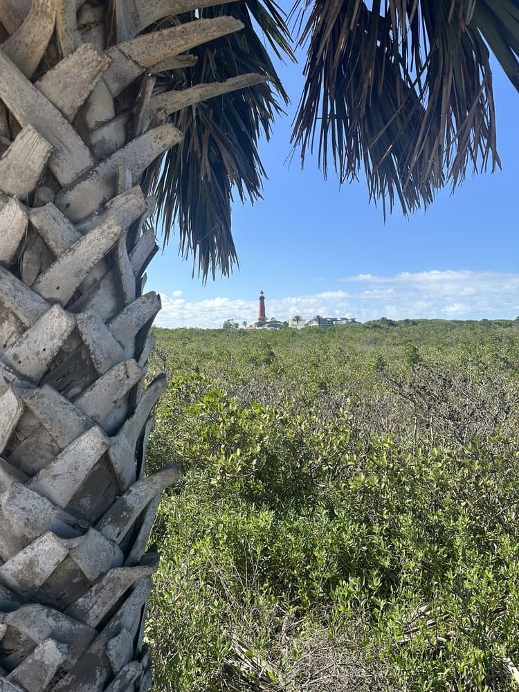 Ponce Inlet Dog Beach
