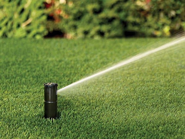 Exterior Design & Lawn Service