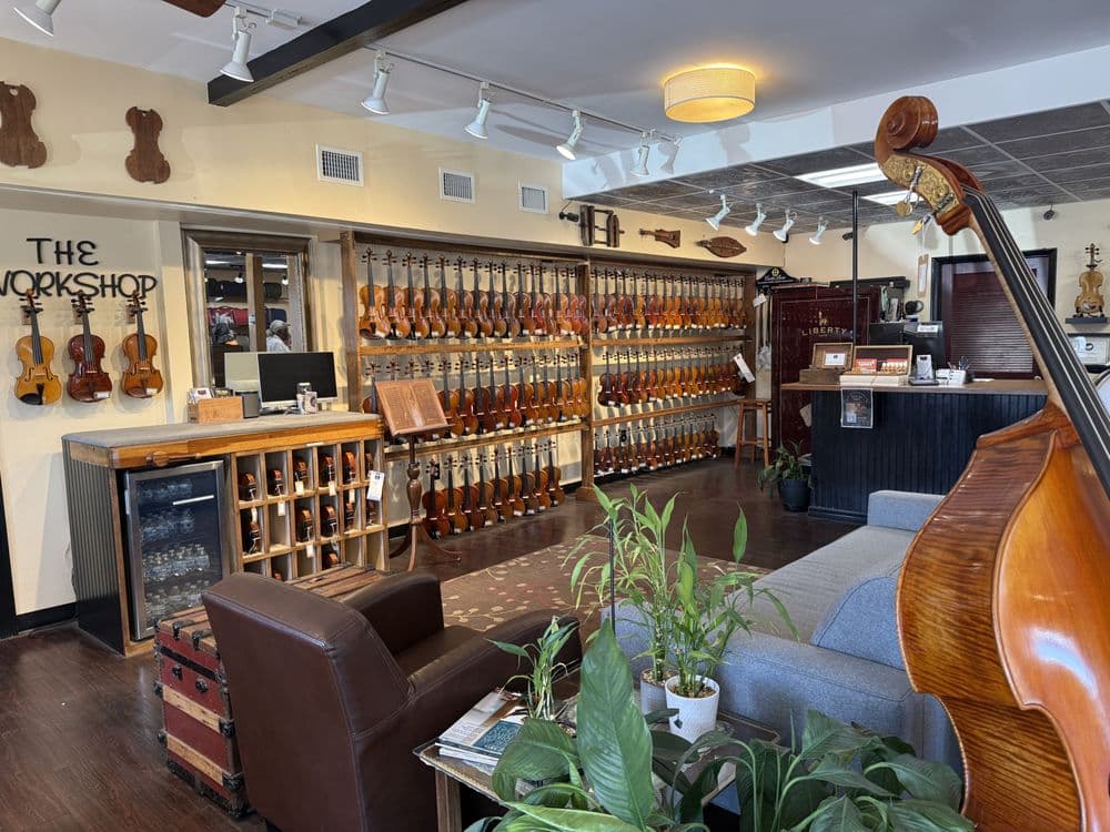 Violin Shop - Tampa