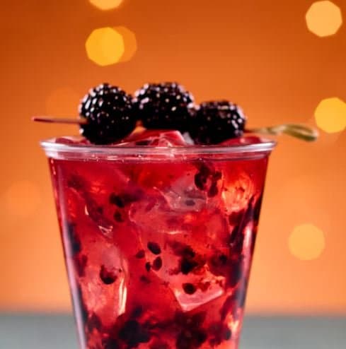 Bar Zenith