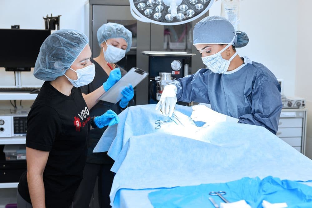 Veterinary Emergency Group