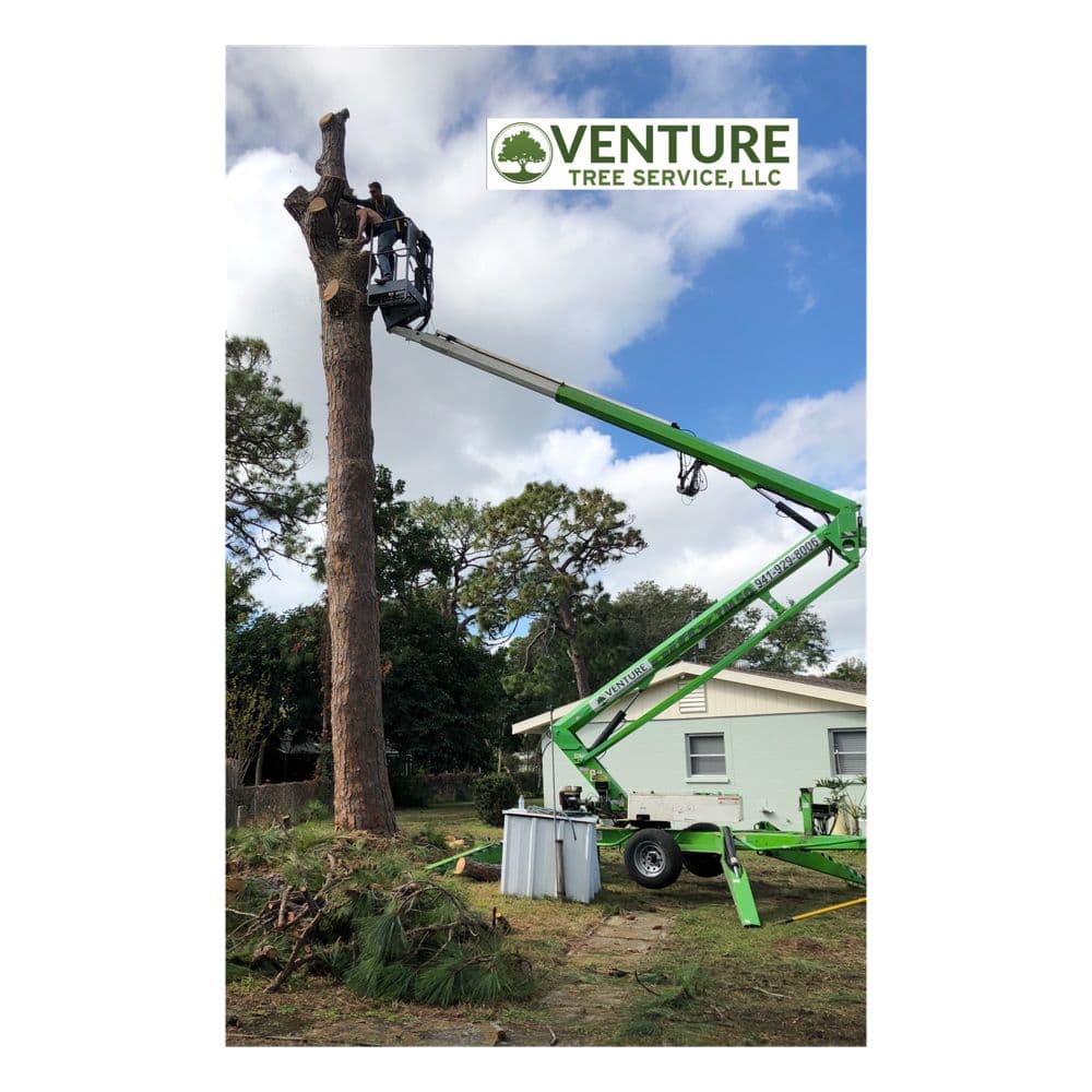 Venture Tree Service