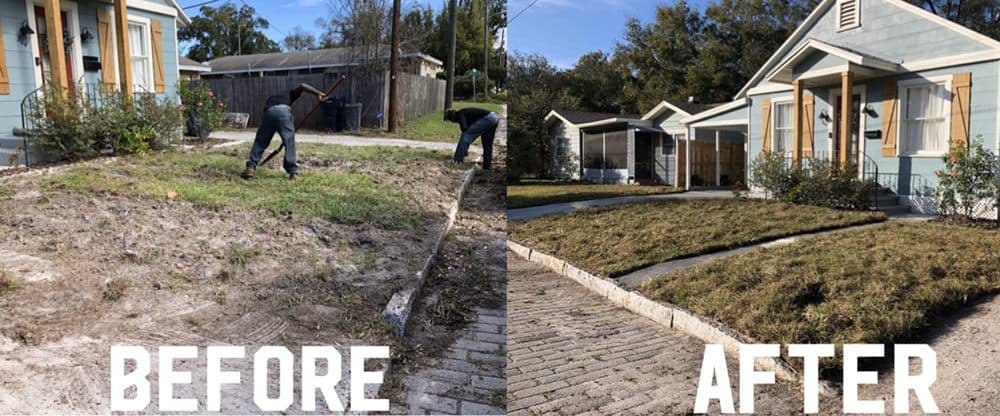 HD Landscaping - Tampa