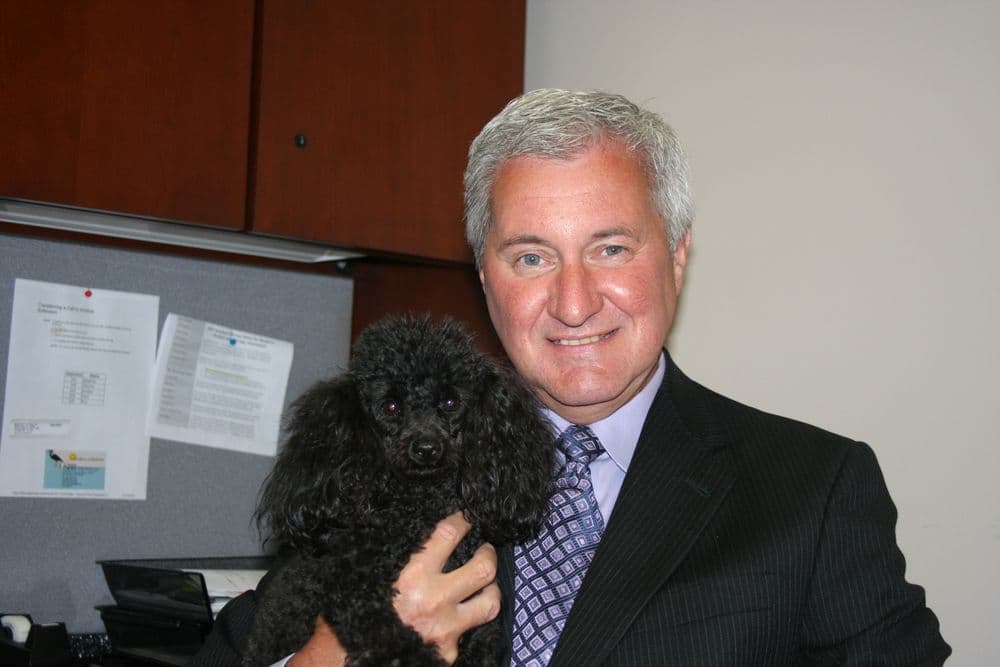 Stephen Camp CPA