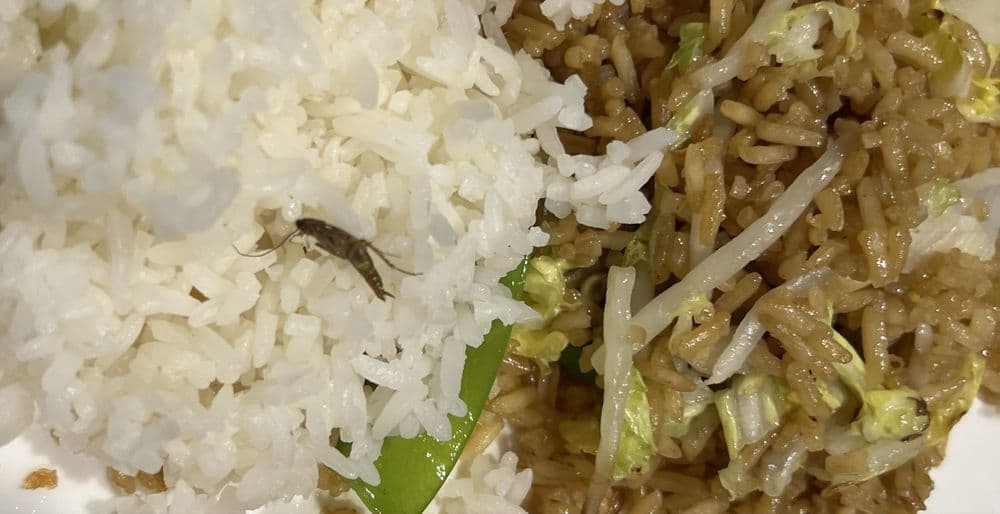 China Wok