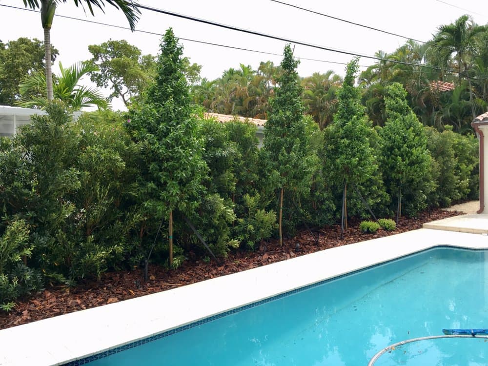 Pamar Landscape