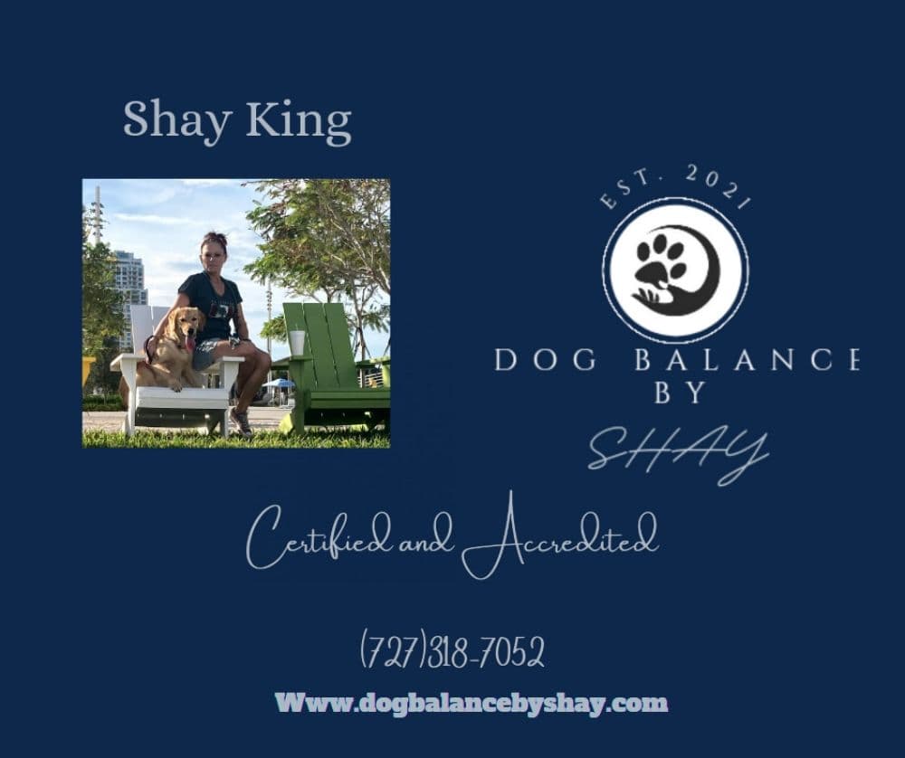 Dog Balance By Shay