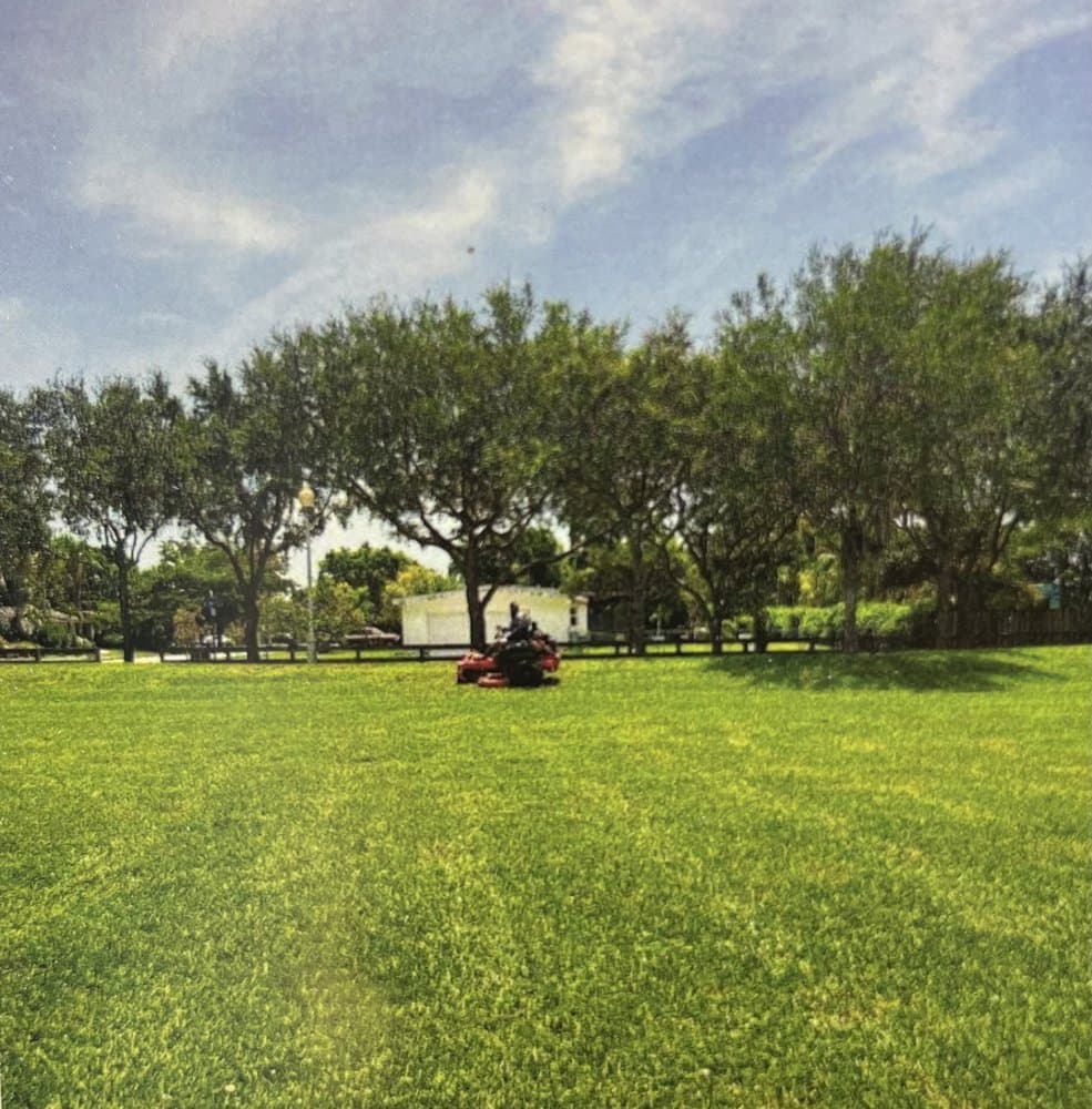 E Rodriguez Landscaping