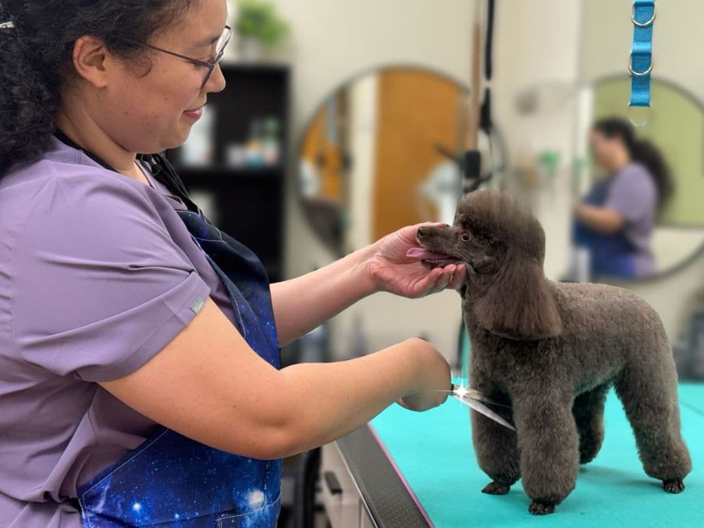 Grande Style Pet Grooming