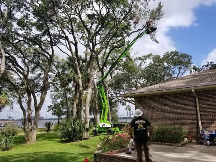 Durance Tree Service