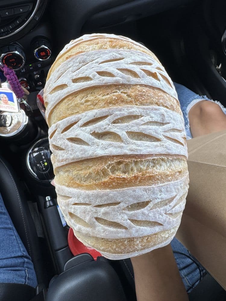 Sharing Sourdough