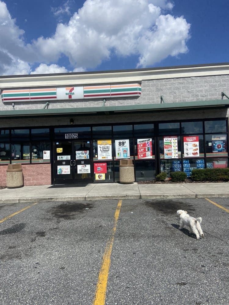 7-Eleven