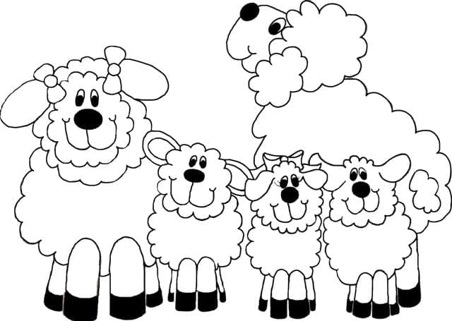 Mary's Little Lamb Preschool