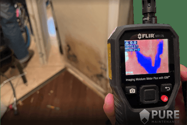 Pure Maintenance Mold Remediation - Jacksonville