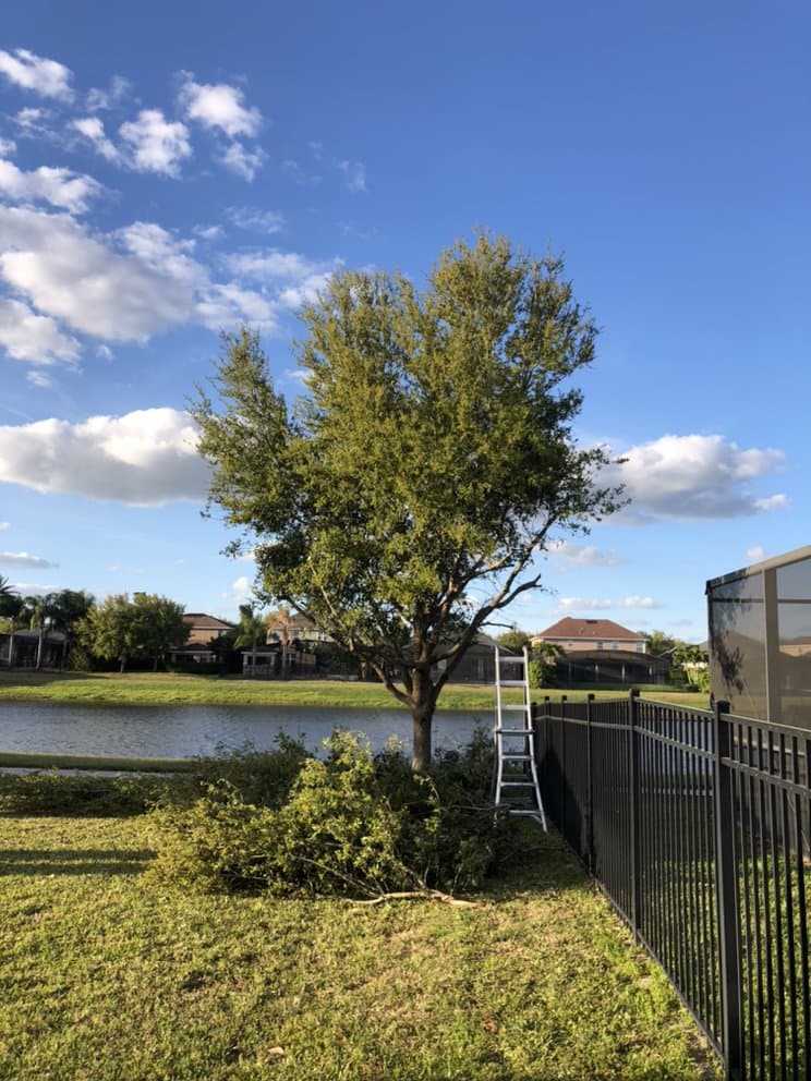 American Green Lawn Care