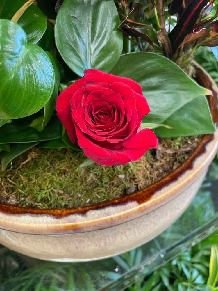 Deloris Florist
