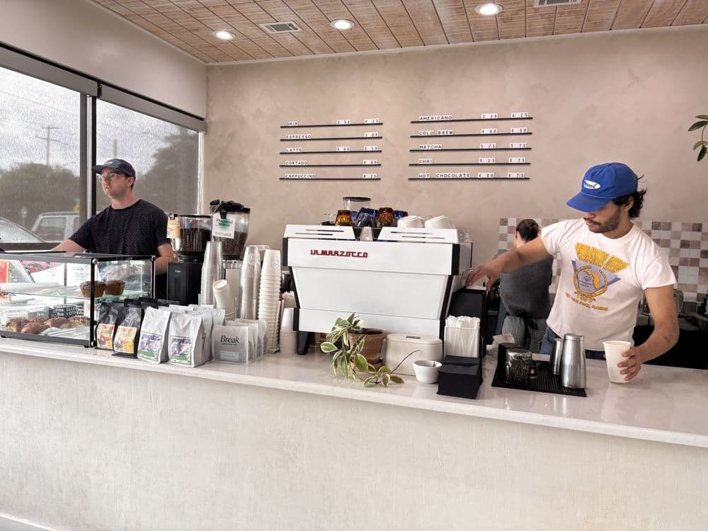 Steady Coffee