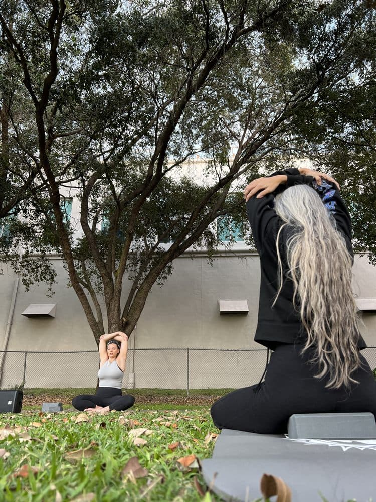 Lampin Yoga