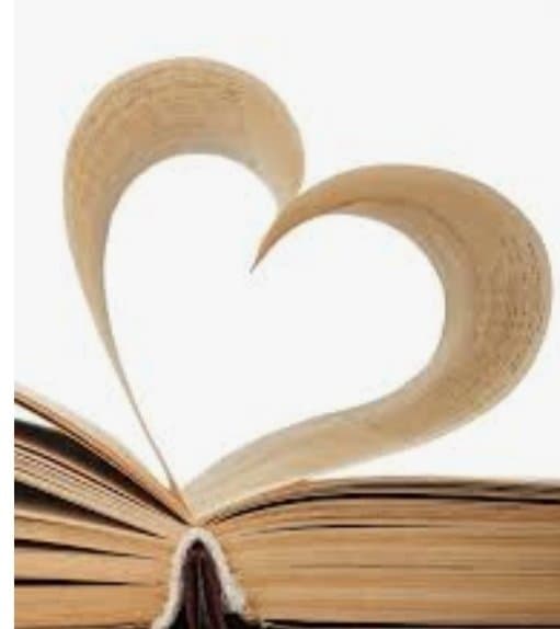 Tampa Bay Tutors