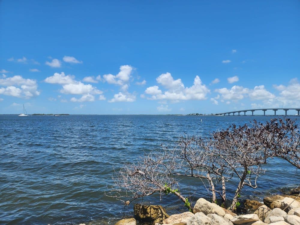 INDIAN RIVER LAGOON