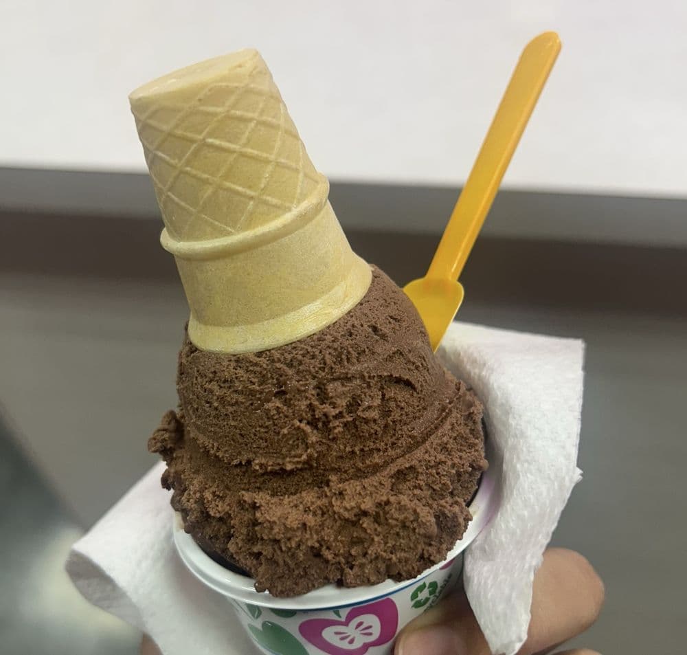 Fabulous Ice Cream & Cafe 2