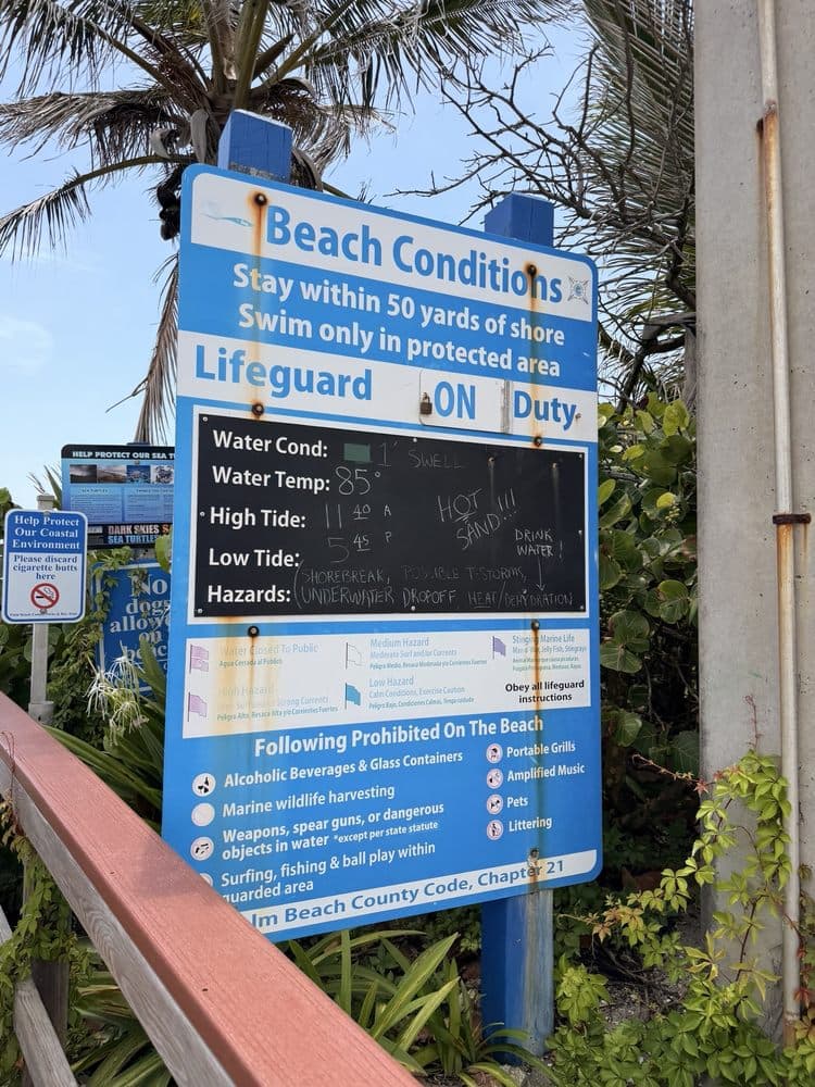 Loggerhead Park