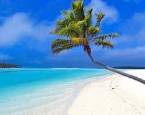 Courtney Taylor Private Tours Jamaica