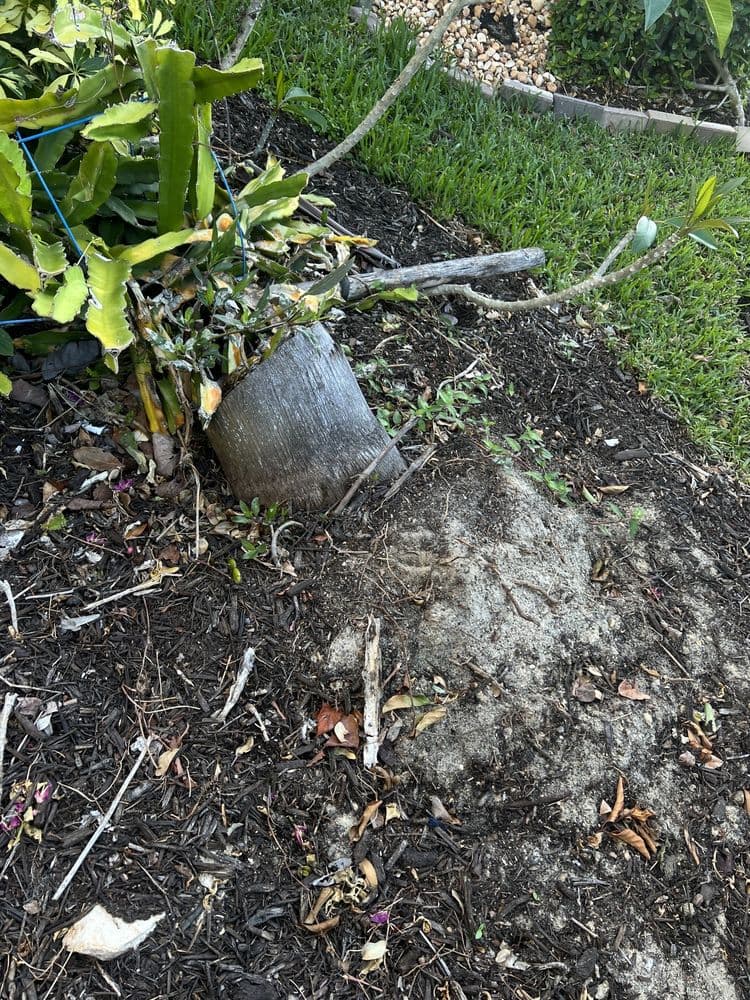TLS Lawn & Tree Service