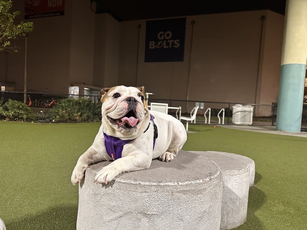 Deputy Kotfila Memorial Dog Park