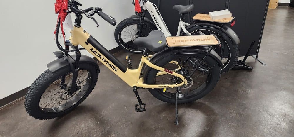 GO EBIKES