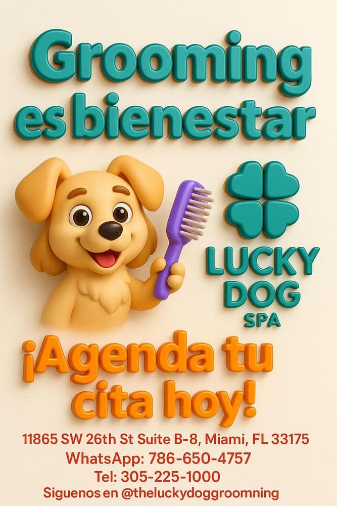 The Lucky Dog Grooming and Spa