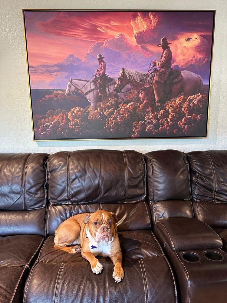 Work of Art Gallery and Framing