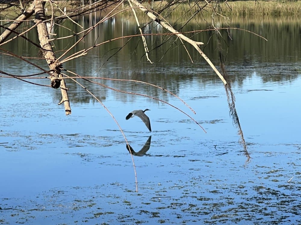 Lake Davis Park