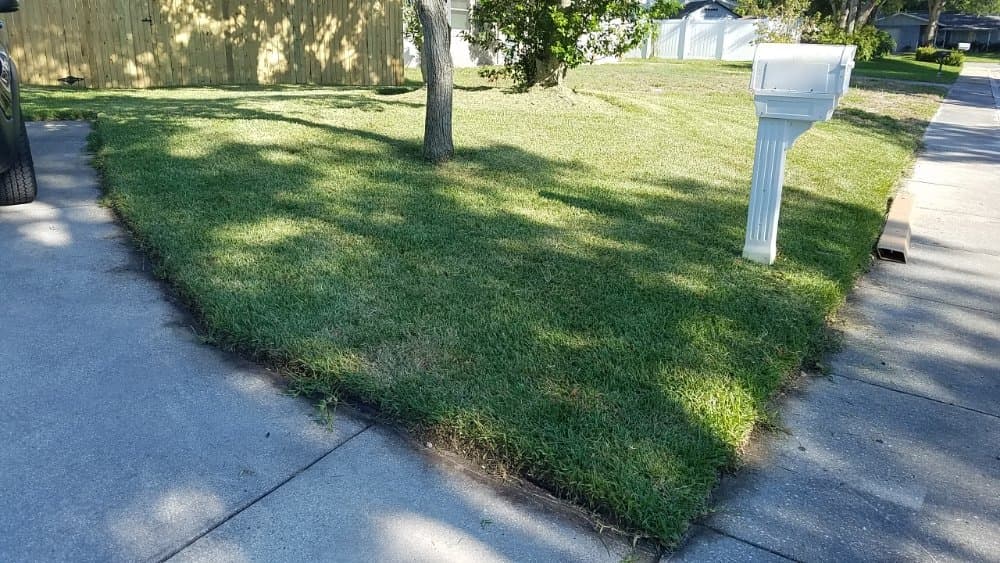 Lawns Made Level