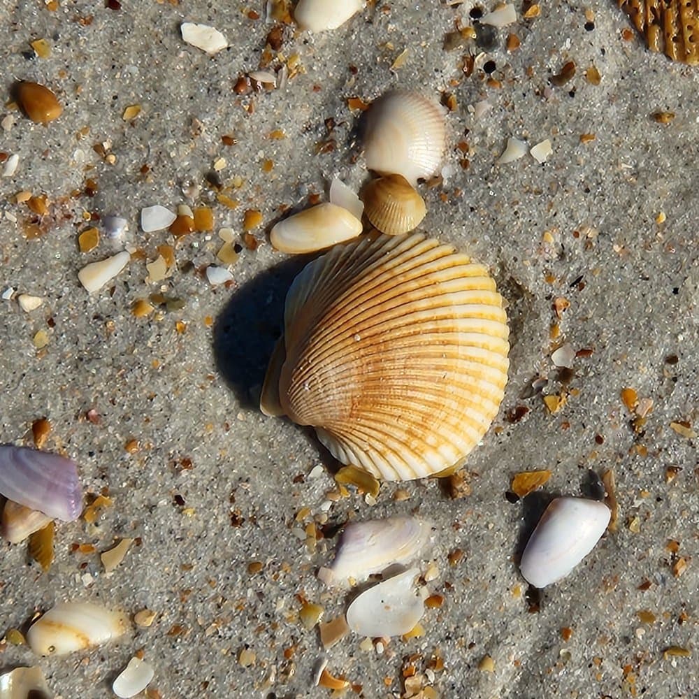Guana River State Park