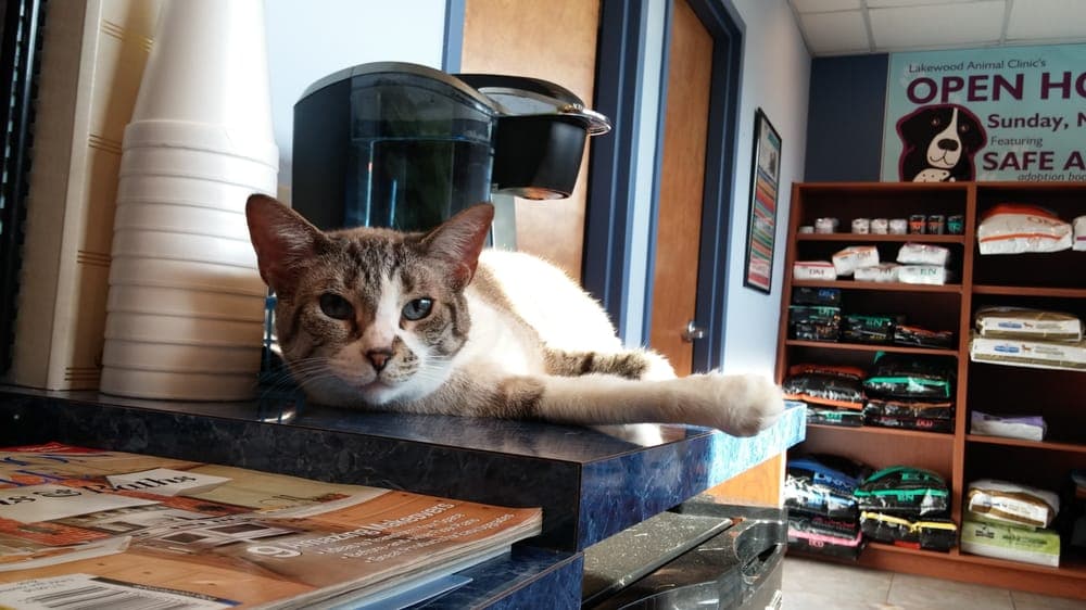 Lakewood Animal Clinic