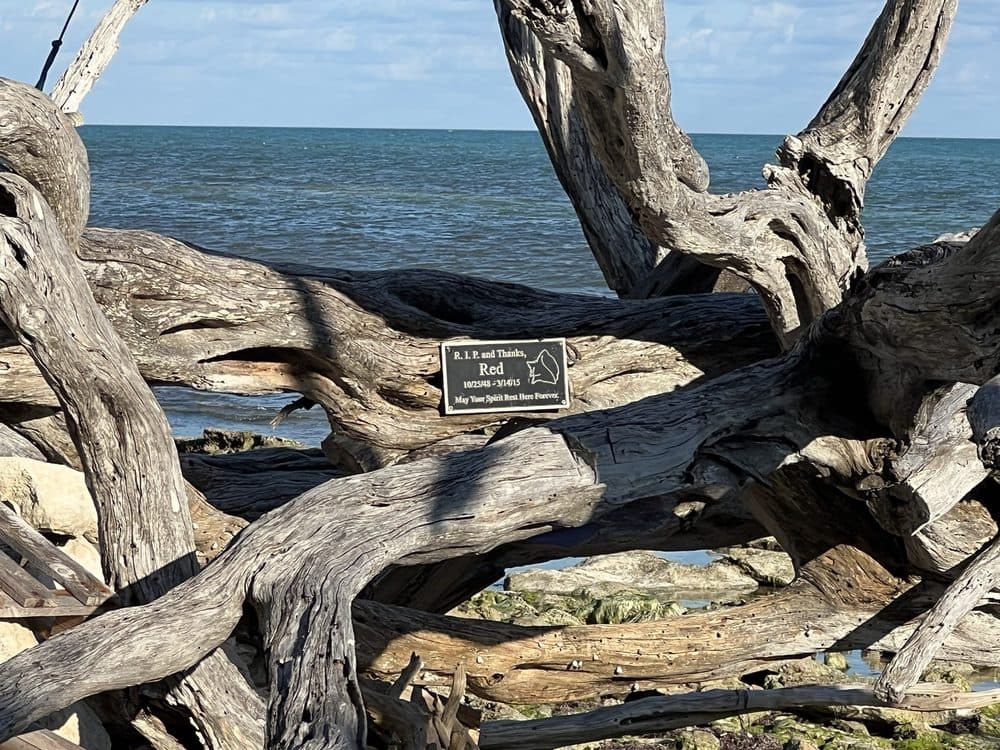 Boca Chica Beach Area