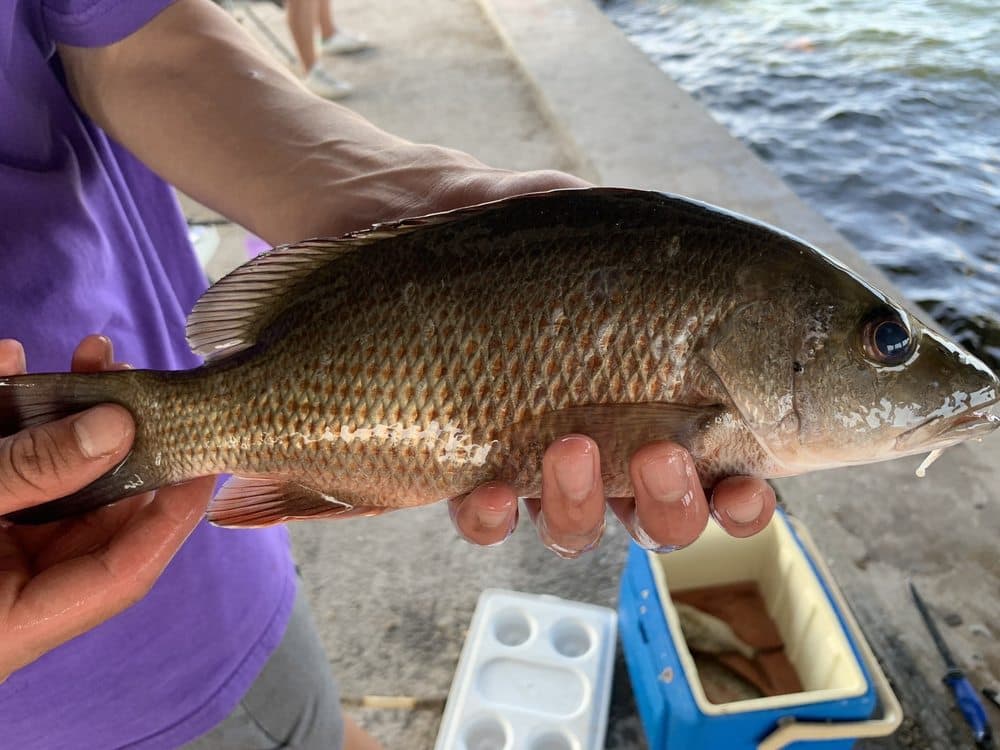 Rampway Bait & Tackle