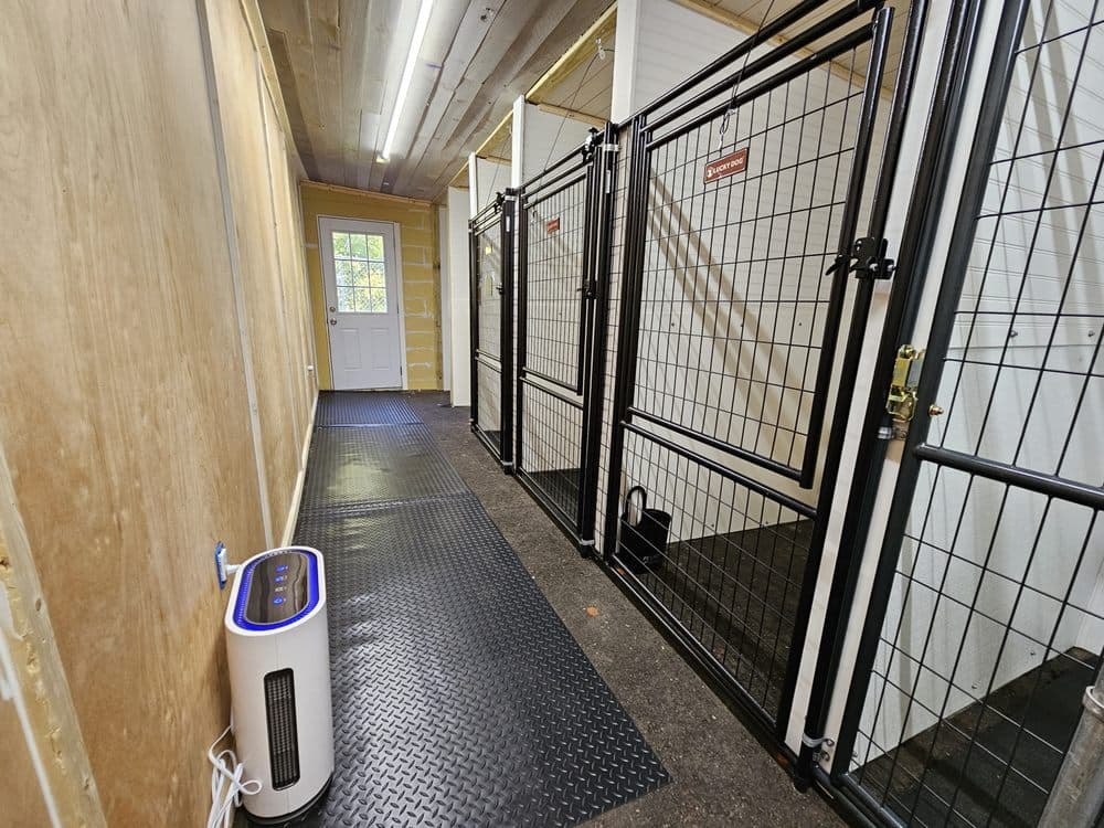 Bamboo Dog Resort